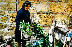 Wochenmarkt in Kalamata.  ..DSC_6976