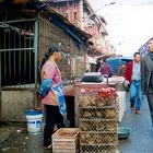 Wochenmarkt in Shanghai...