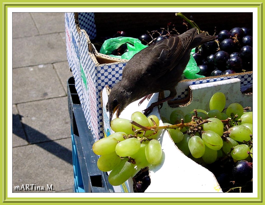 Wochenmarkt (mit Gedicht)