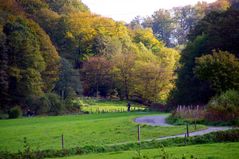 Wodantal bei Langenberg NRW