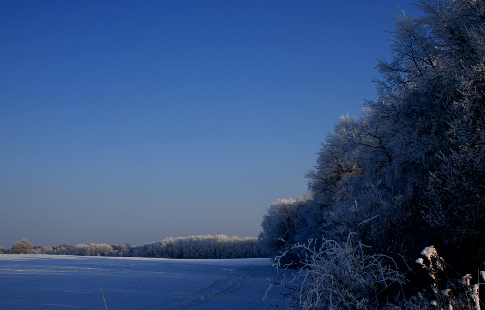 Wodenhof im Winter