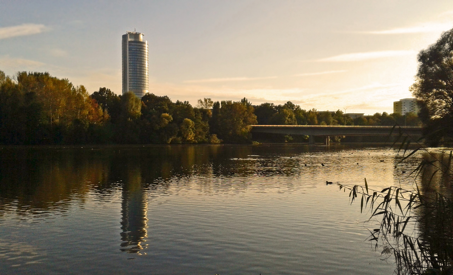 "Wöhrder See in Nürnberg" (Samsung ACE, Handyfoto)