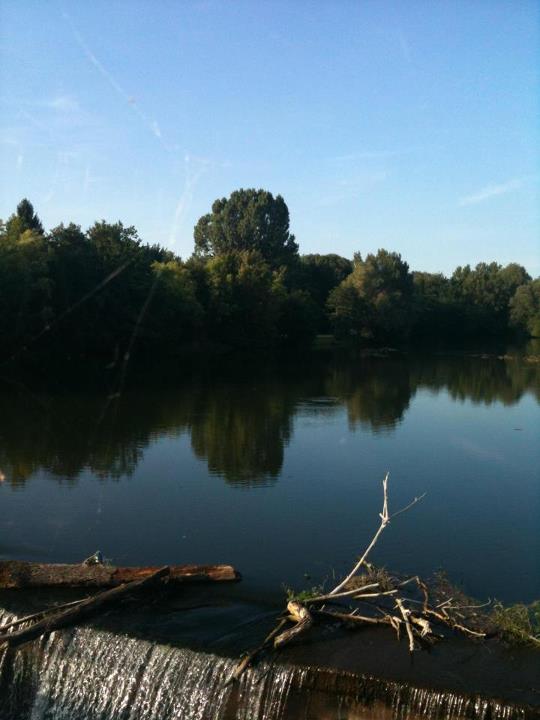 Wöhrdersee im Sommer