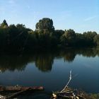 Wöhrdersee im Sommer