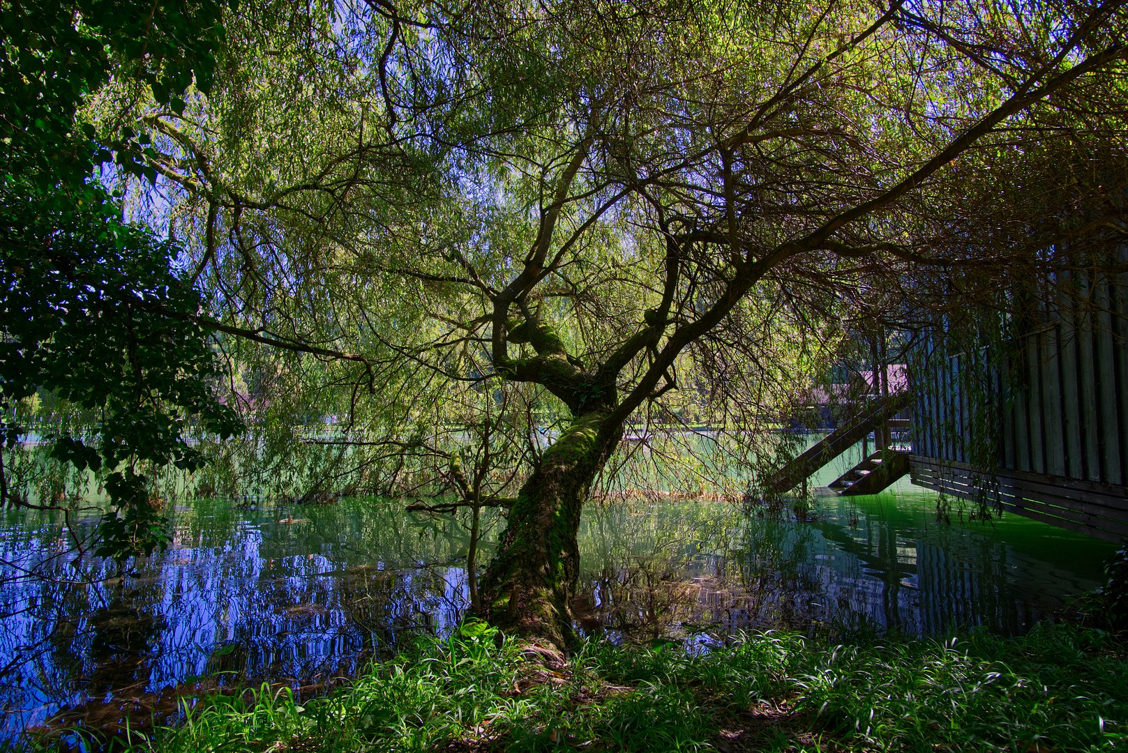 Wöhrsee in Burghausen