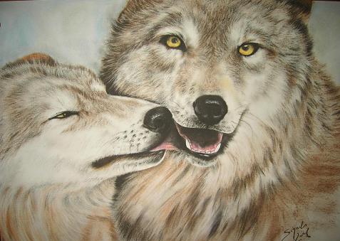 Wolfe Foto Bild Tiere Wildlife Wildlife Sonstige Tiere Bilder Auf Fotocommunity