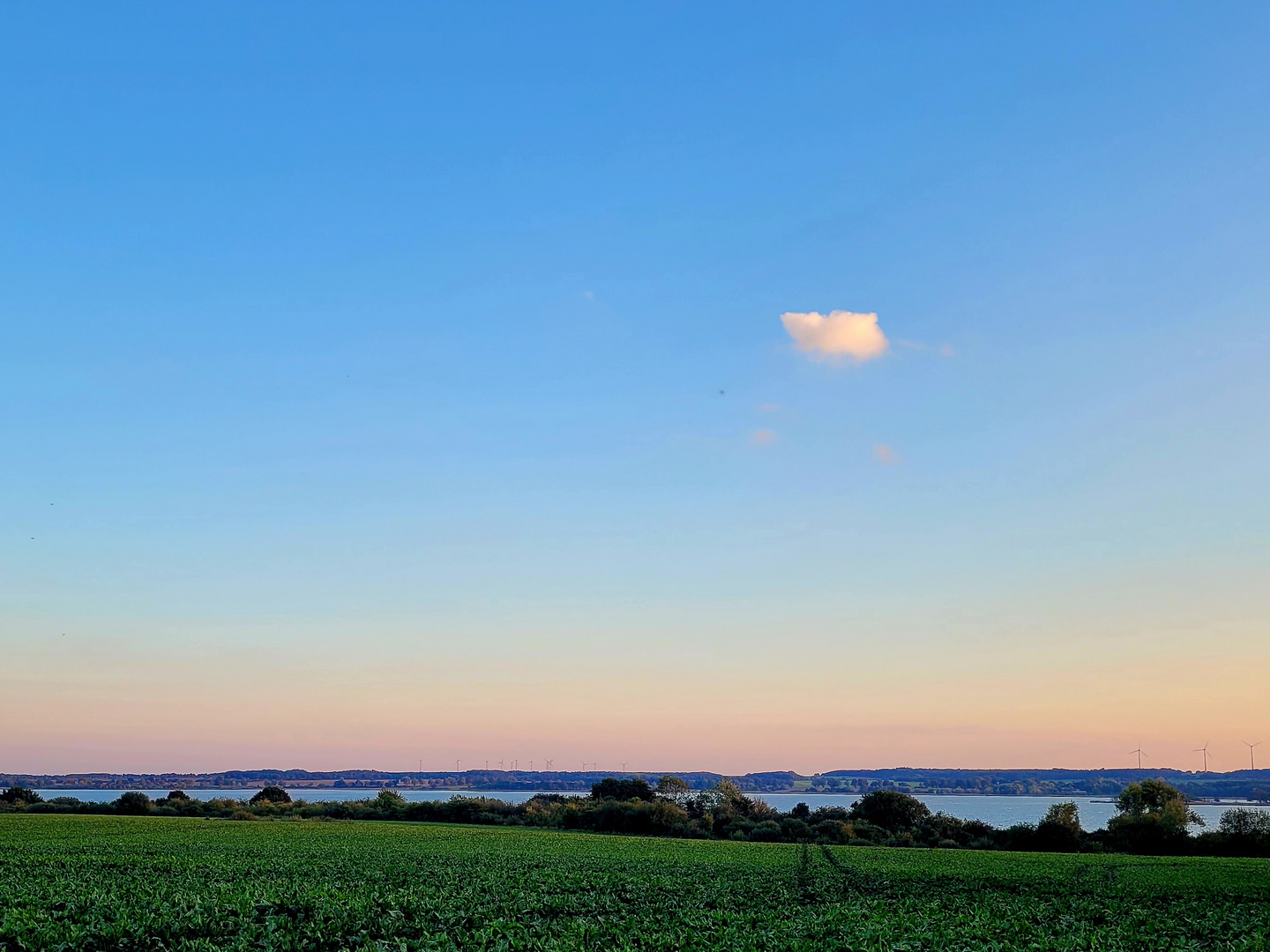 Wölkchen am Himmel