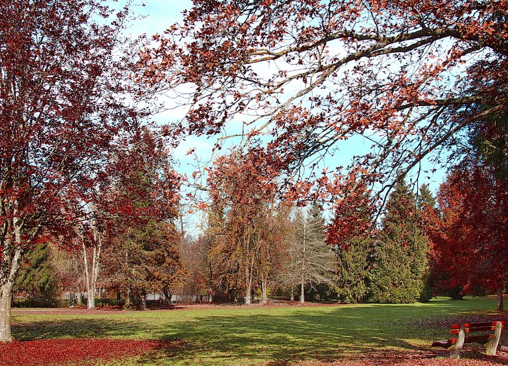 Wörishoffener Park 