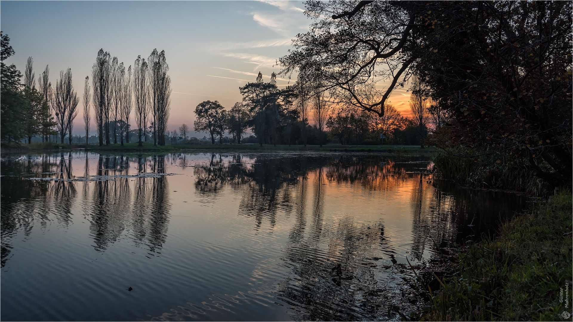 Wörlitz, Abends im Park