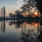 Wörlitz, Abends im Park