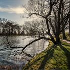 Wörlitz, Frühlingserwachen am Wörlitzer See