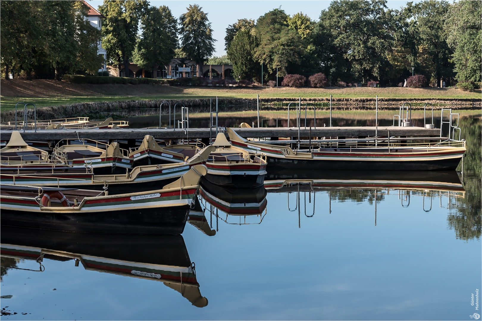 Wörlitz, Gondelflotte