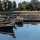 Wörlitz, Gondelflotte