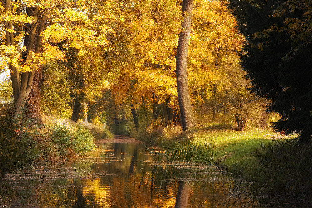 Wörlitz Herbsttour 6