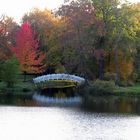 Wörlitz im Herbst II