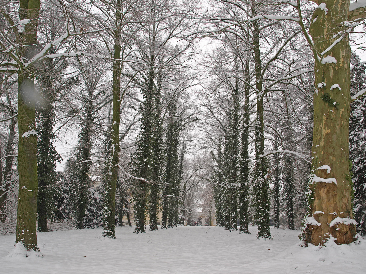 Wörlitz im Winter