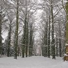 Wörlitz im Winter