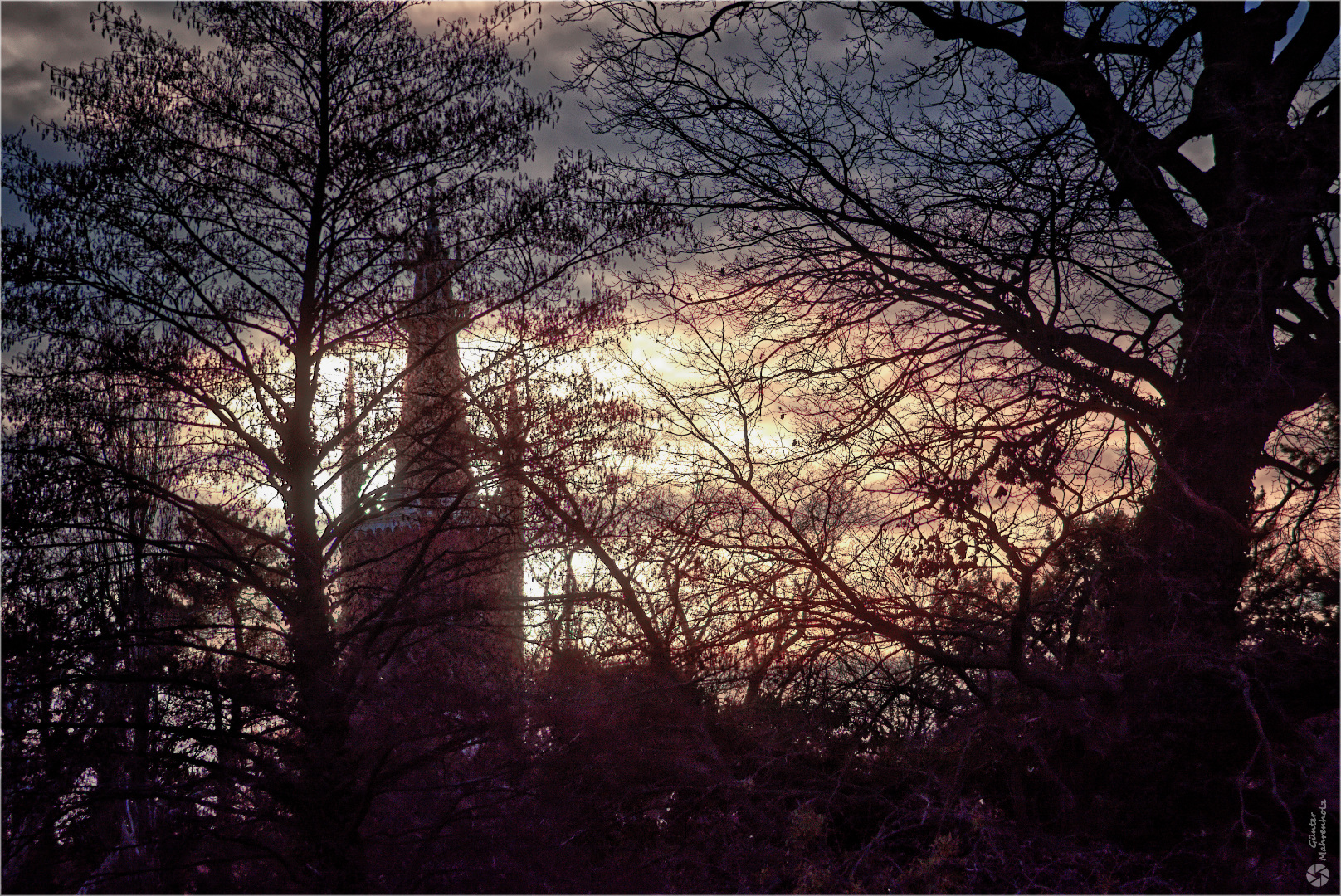 Wörlitz, Morgens am Bibelturm