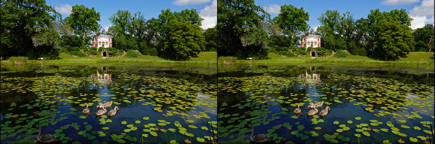 Wörlitz Pantheon Teich Schwäne (3D-X-View)