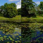 Wörlitz Pantheon Teich Schwäne (3D-X-View)