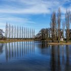 Wörlitz, Rousseau-Insel