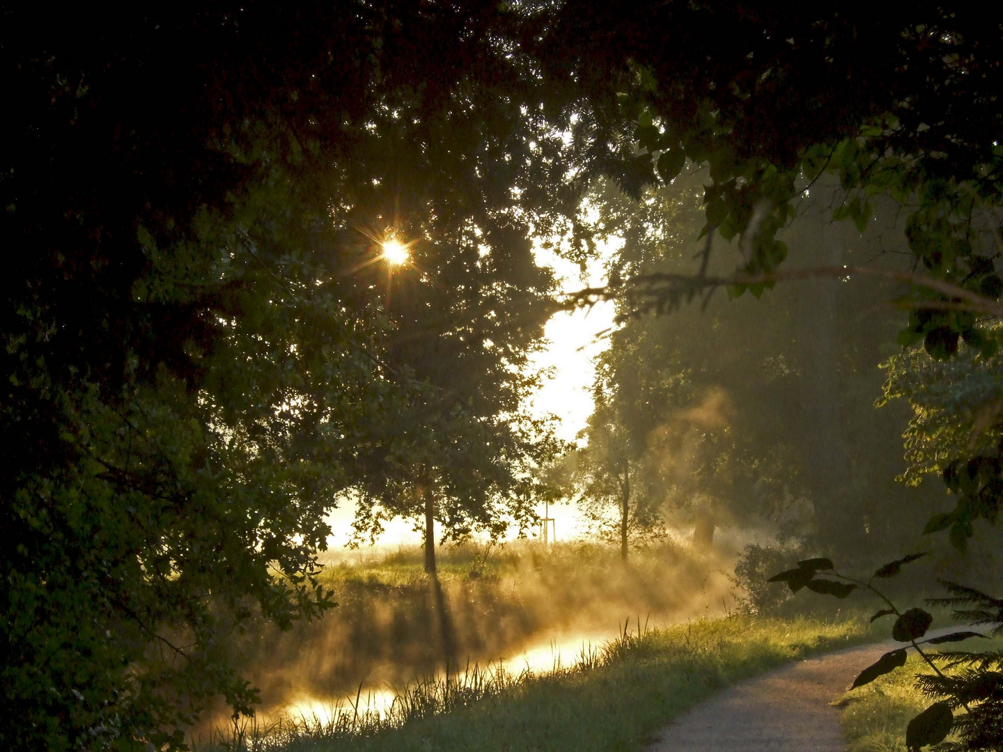 Wörlitz - Spätsommerimpressionen 2