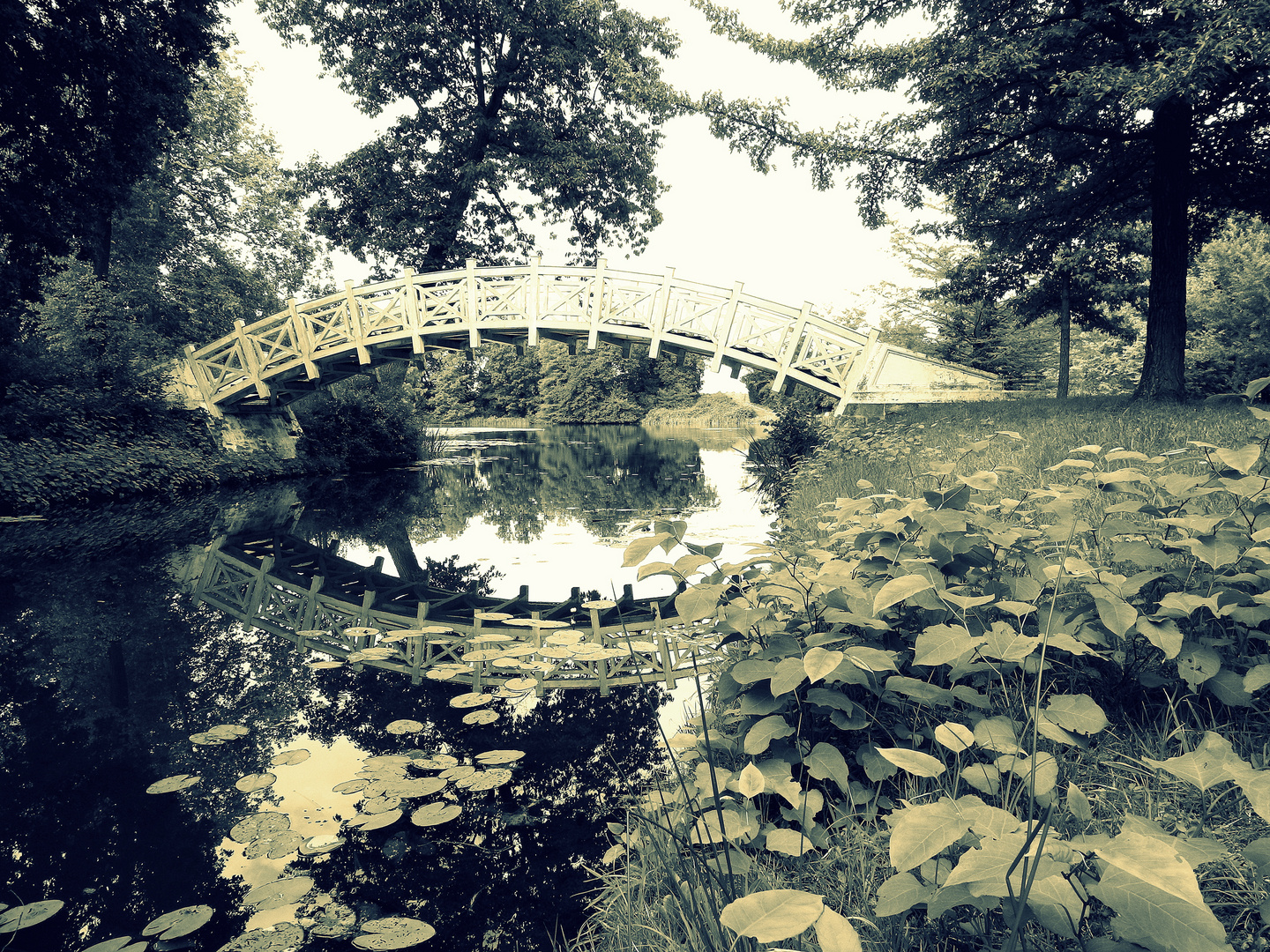 Wörlitzer Garten Weisse Brücke Foto & Bild mystische orte, specials