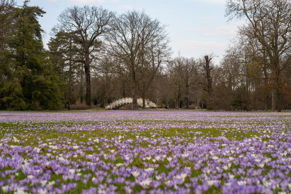 Wörlitzer Park