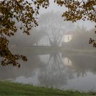 Wörlitzer Park bei Nebel