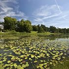 Wörlitzer Park - Großes Walloch mit Pantheon