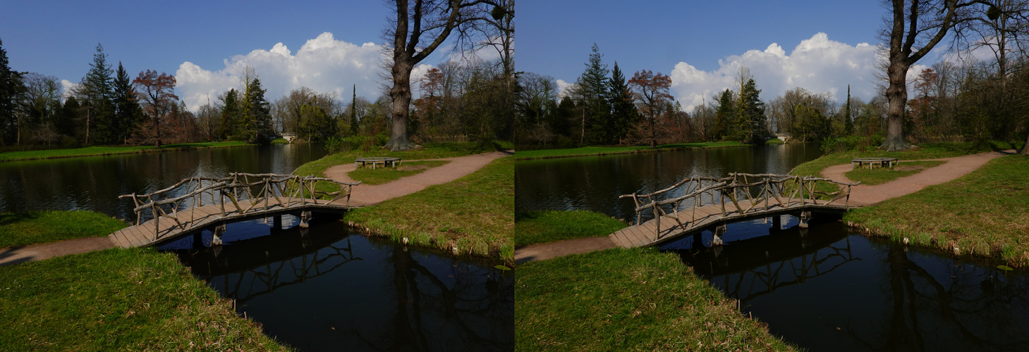  Wörlitzer Park Holzbrücke (3D-X-View)