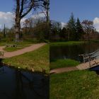  Wörlitzer Park Holzbrücke (3D-X-View)