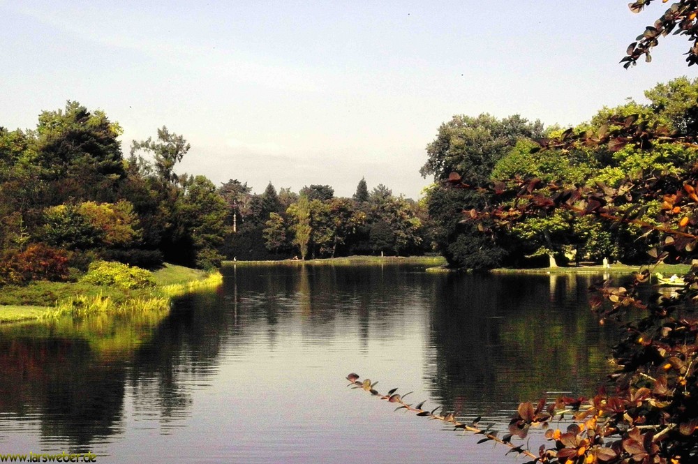 Wörlitzer Park im Herbst