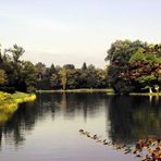 Wörlitzer Park im Herbst