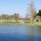 Wörlitzer Park mit Blick auf die Insel Stein