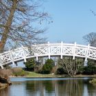 Wörlitzer Park - Stufenbrücke