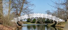 Wörlitzer Park - Stufenbrücke