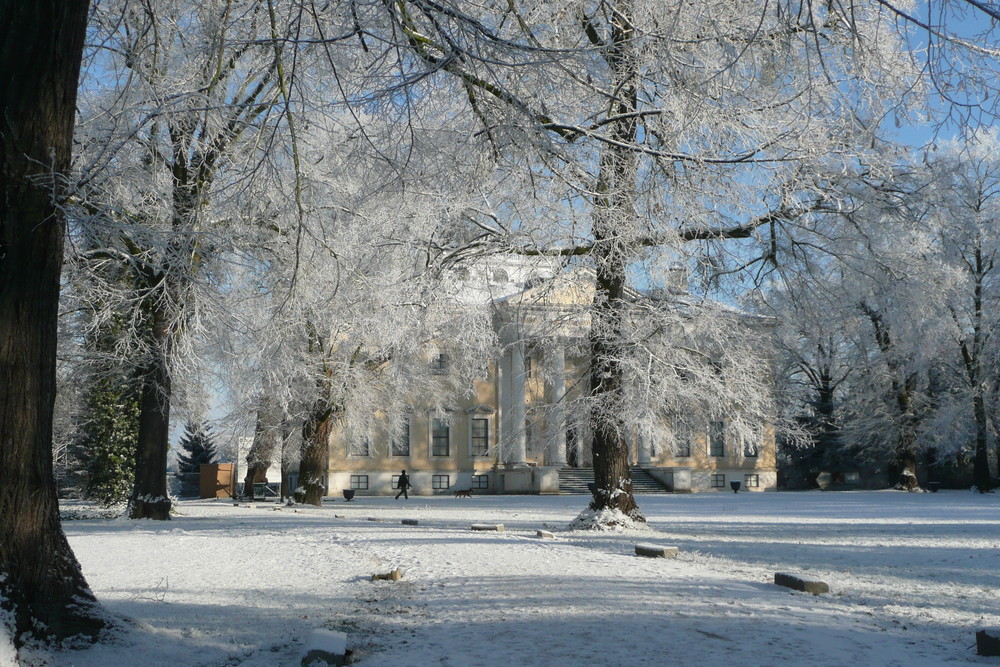 Wörlitzer Schloss bei -7 Grad