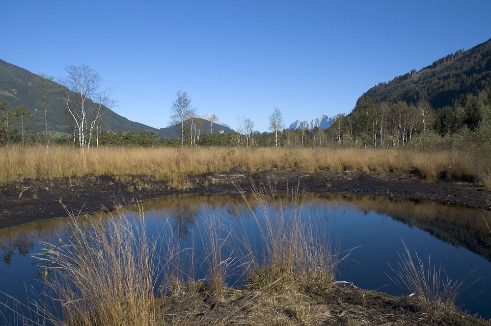 Wörschacher Moor