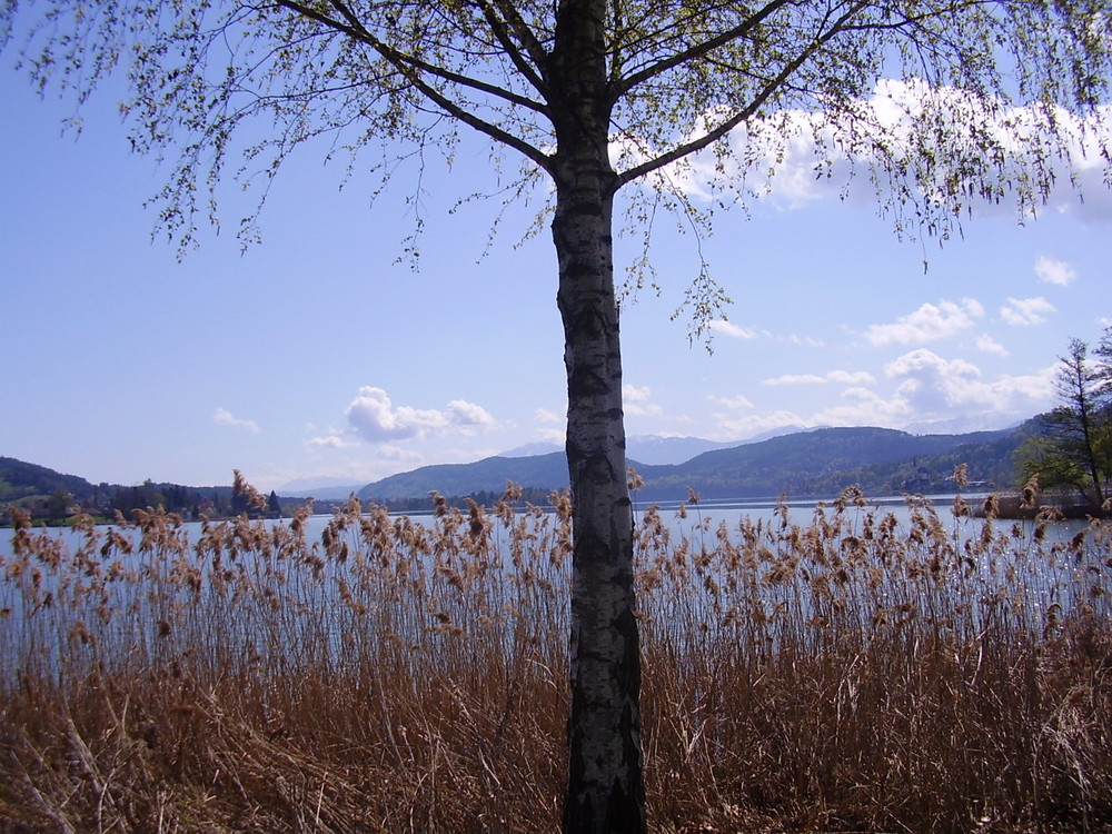 Wörthersee im Frühling