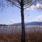 Wörthersee im Frühling