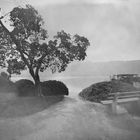 Wörthersee_Wet Plate_Ambrotype