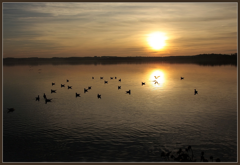 Wörthsee