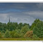 Woeste Niedermoor Landschaft