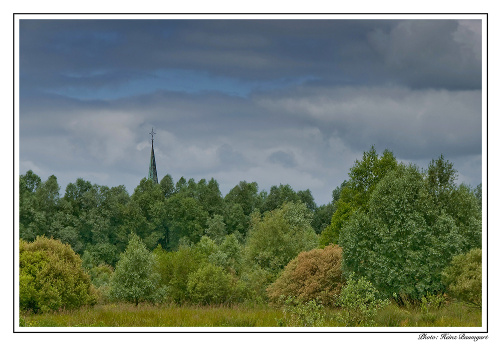 Woeste Niedermoor Landschaft