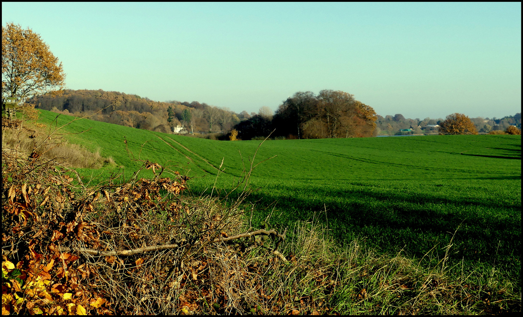 Wogendes Land in leuchtendem Grün