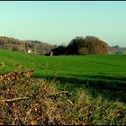 Wogendes Land in leuchtendem Grün