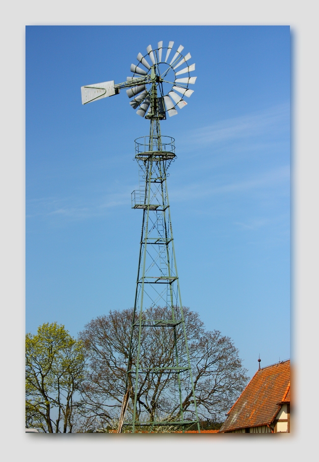 Woher der Wind weht...