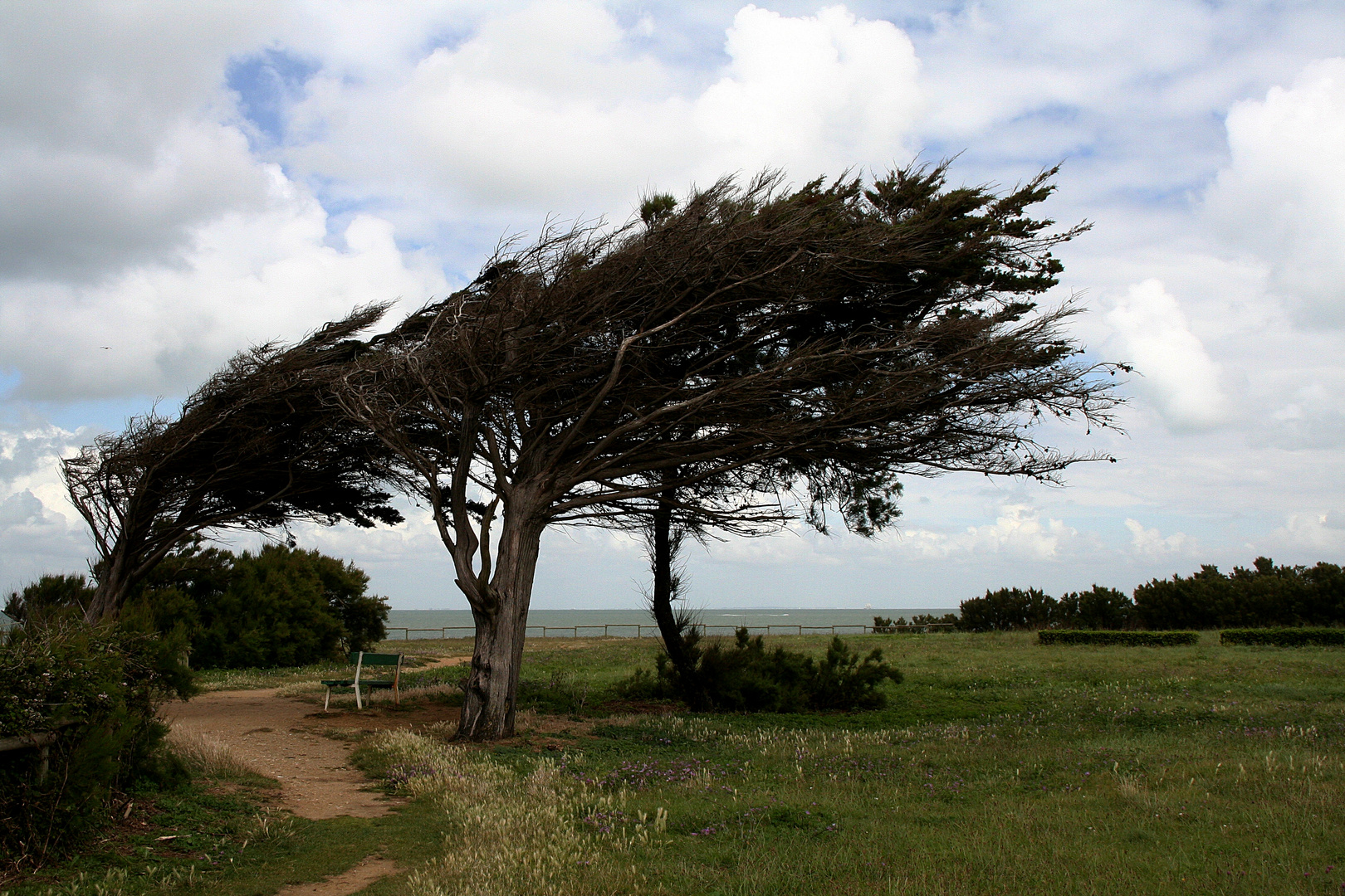 Woher der Wind weht ...