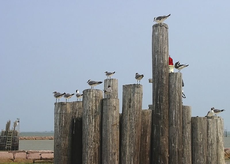 Woher kommt de Wind?!